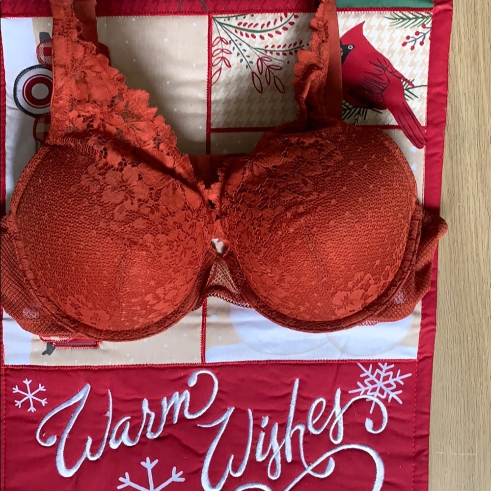 Lace plunge push-up bra